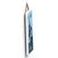 Sports Wall Decor-1110221422