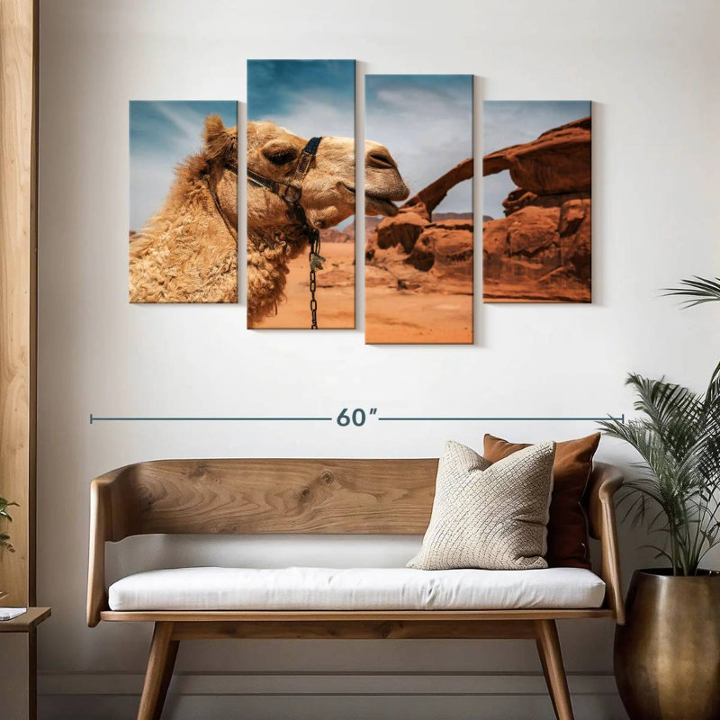 Chameau Brampt dans le désert du Wadi Rum, H 32 po x l 52 po