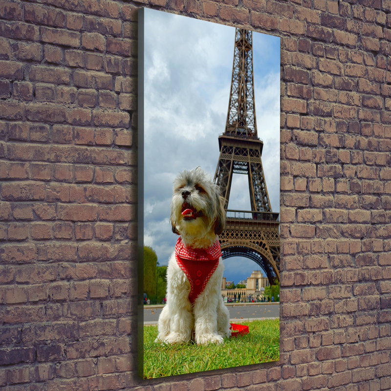 Dog In Paris - Wrapped Canvas Print