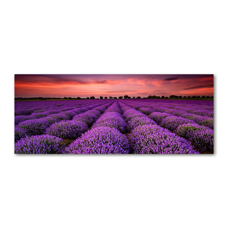 Lavender Field - No Frame Print on Canvas