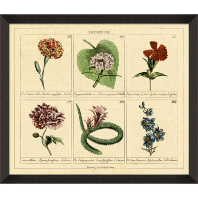Blumen N III Print