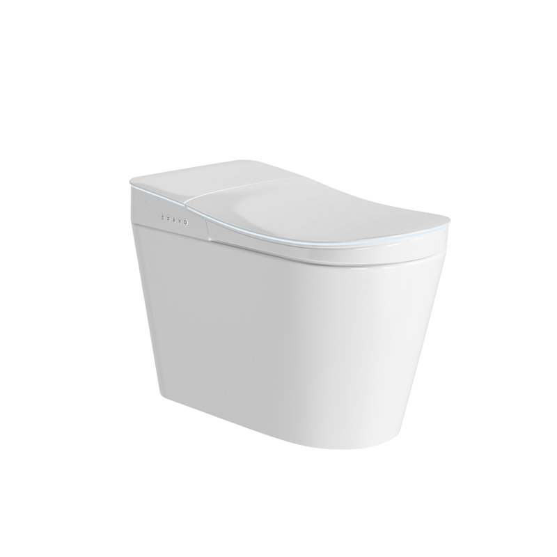 Smart Toilet With Front Cleaning Women's Washing(Remote Included)