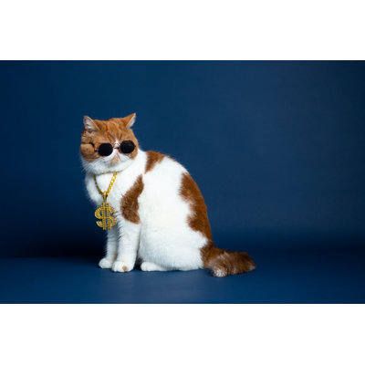 Garfield Cat par Zuyufang
