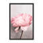 Nature Inspired Peony by  - Picture Frame Photograph on Paper-81387086-131284497-131284575