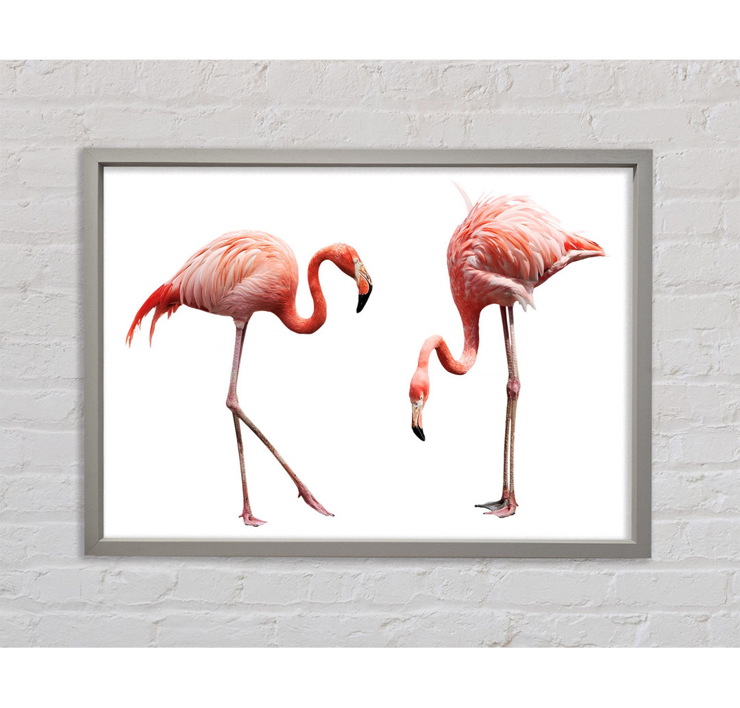 Rosa Flamingo Duo - Einzelbildrahmen Kunstdrucke auf Leinwand