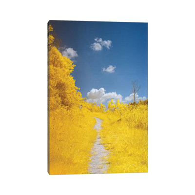 The Path by Glauco Meneghelli - Wrapped Canvas Print