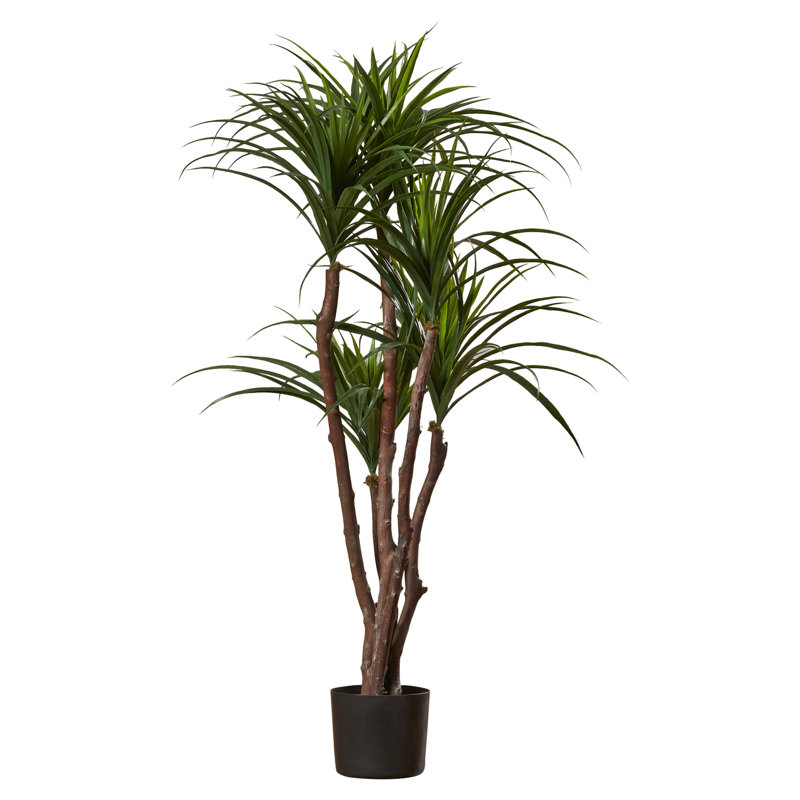 51" Tropical Yucca Artificial Tree with Natural Trunk and Planter by Pure Garden