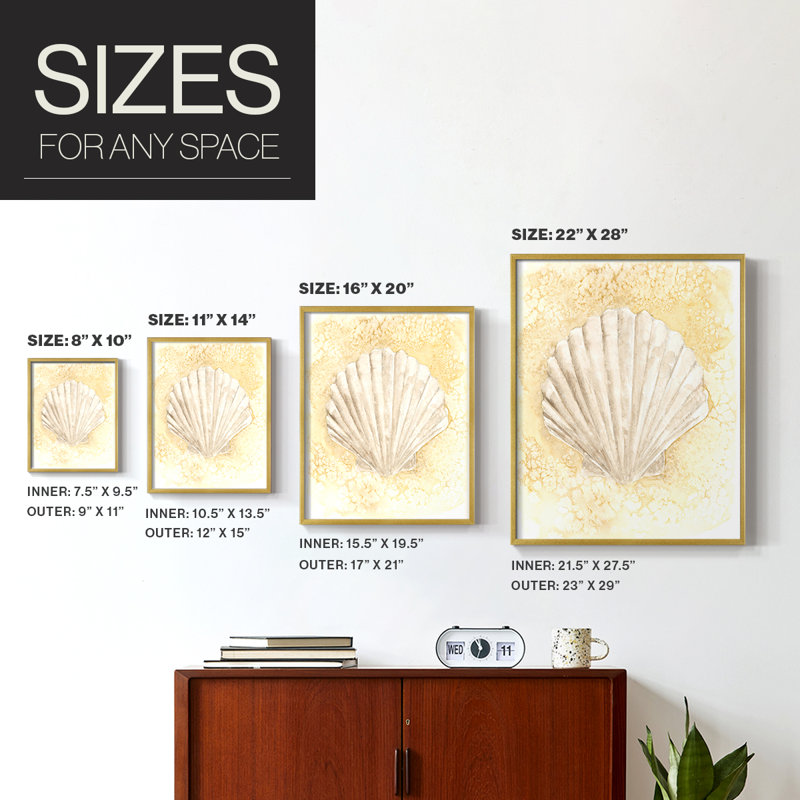 Reproduction encadrée Salty Seashell II - bois massif, H 28 po x l 22 po