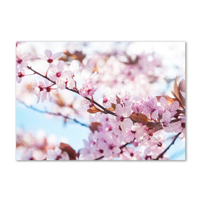 Cherry Blossoms - Wrapped Canvas Print
