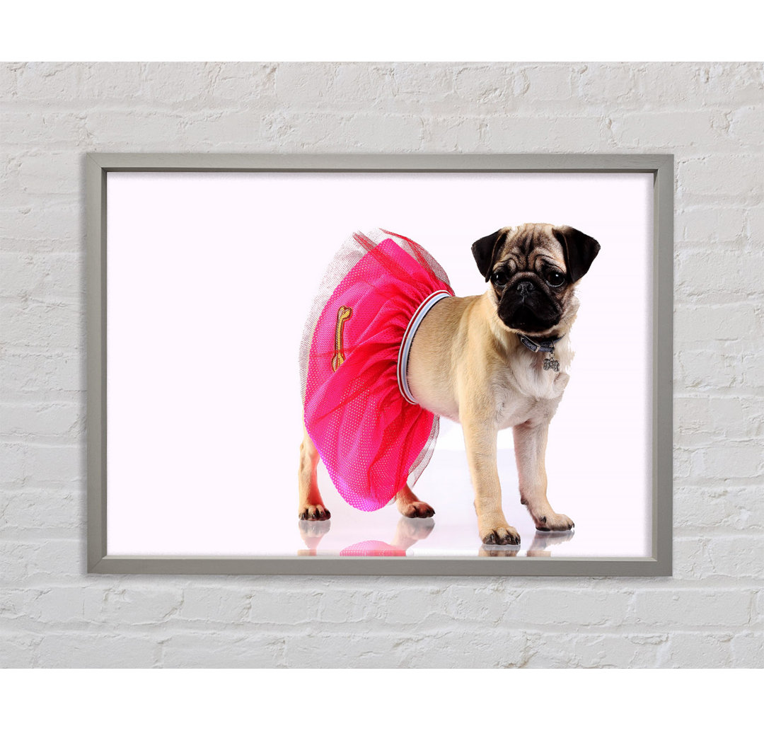 Mops Hund Tutu - Druck