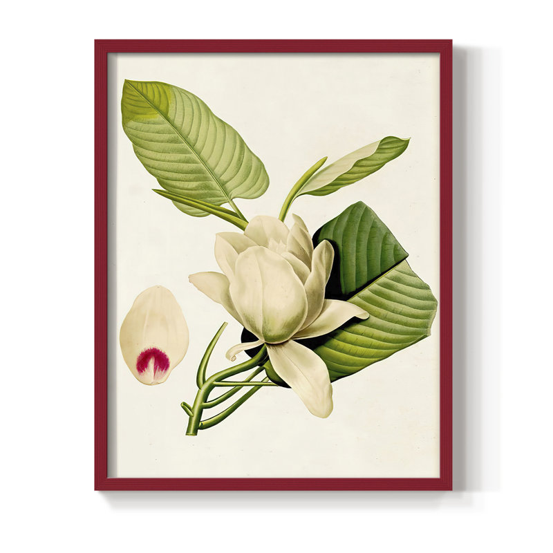 «Magnolia Flowers II», reproduction encadrée - bois massif, H 15 po x l 12 po, Rouge