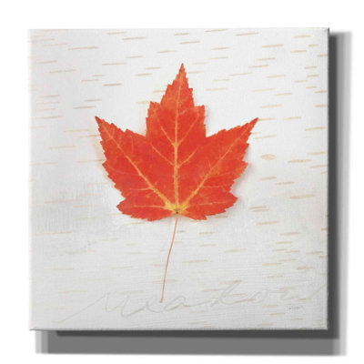 «Red Colors I» par Sue Schlabach, art numérique sur toile Red Barrel Studio