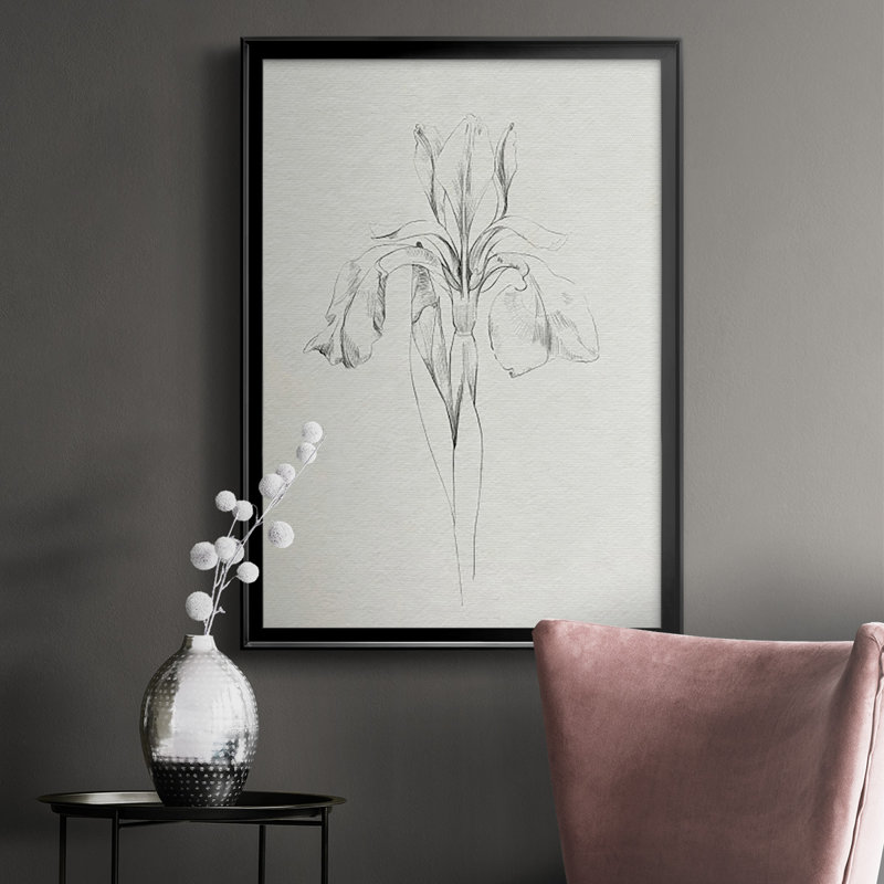«Neutral Iris S croquis I», reproduction encadrée de qualité supérieure - prête à être accrochée, Cadre noir