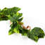 Guirlande de Pothos artificielle 8 '