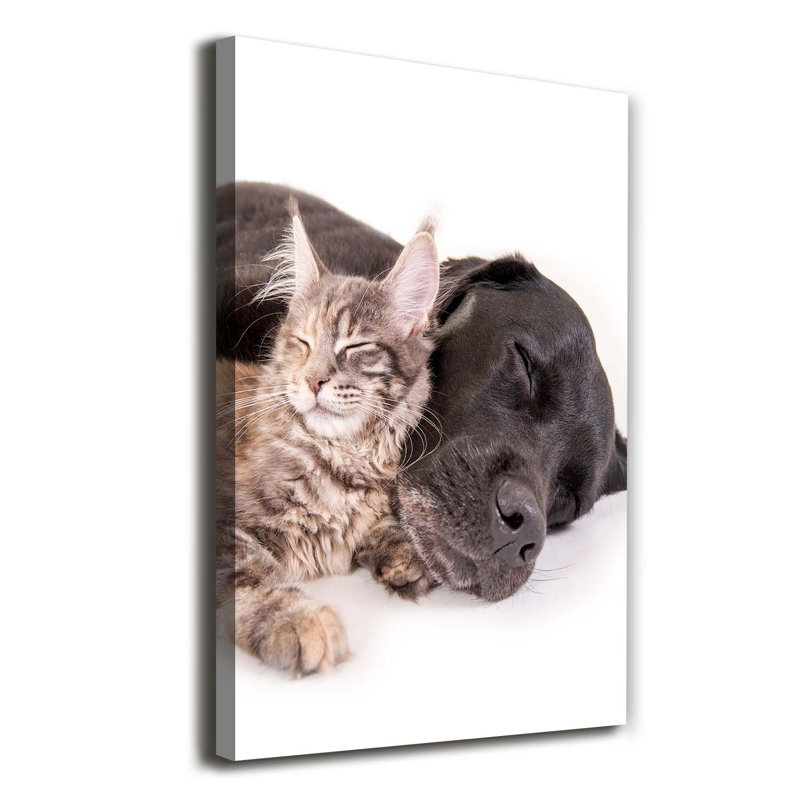 Dog And Cat - Wrapped Canvas Print