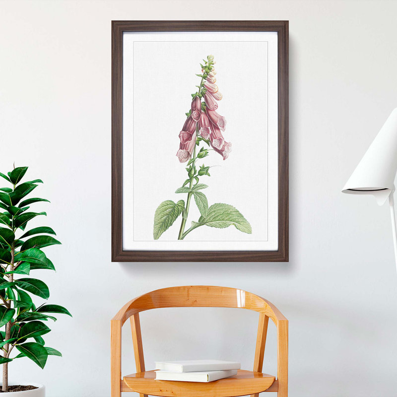 Foxglove Flowers in Pink by Pierre-Joseph Redoute - Framed Print, Walnut Framed, 36cm H x 27cm W x 2cm D