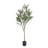 180CM ARTIFICIAL OLIVE TREE-327623738