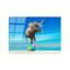 Boze Wall Decor