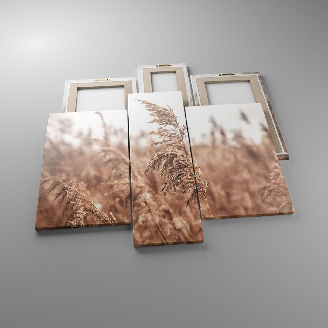 3-tlg. Leinwandbilder-Set Cane Meadow Boho