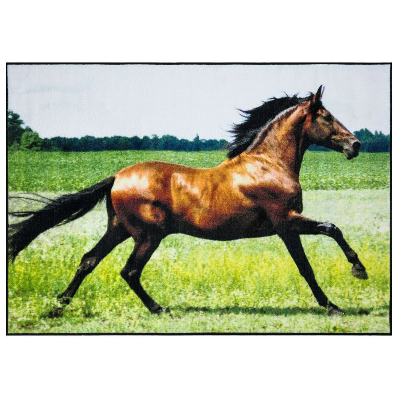 Bang Animal Print Area Rug, Rectangle 80 x 150 cm