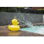 Petite lampe The Duck-125499945-125499947