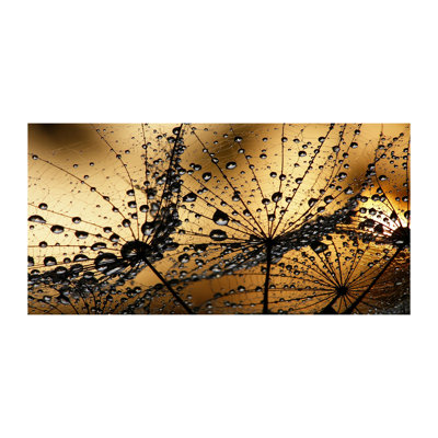 Dandelion Seeds - Wrapped Canvas Print