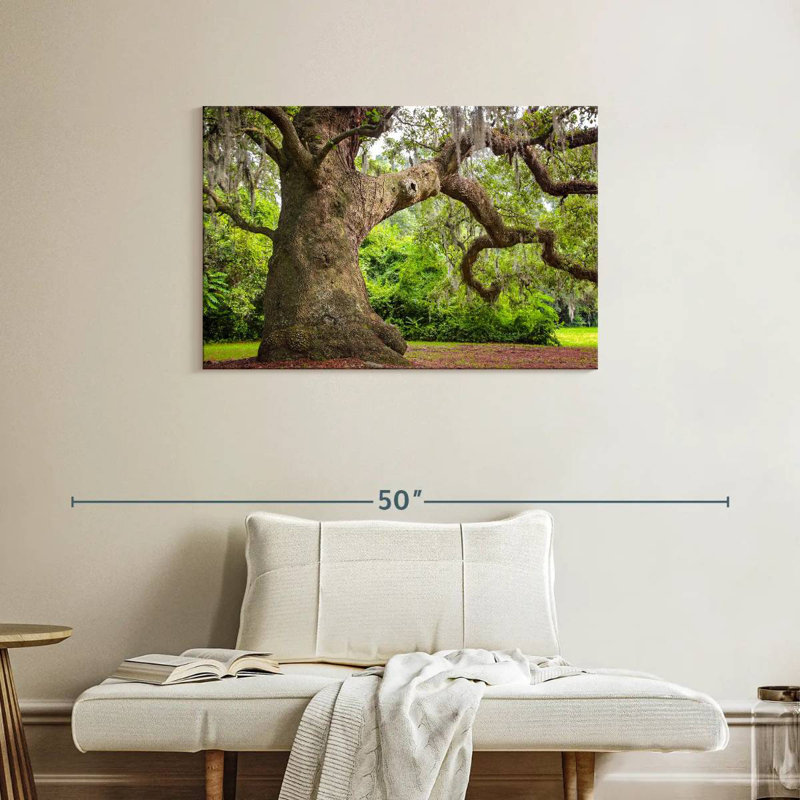 Harnek Live Oak Tree, 24" H x 36" W