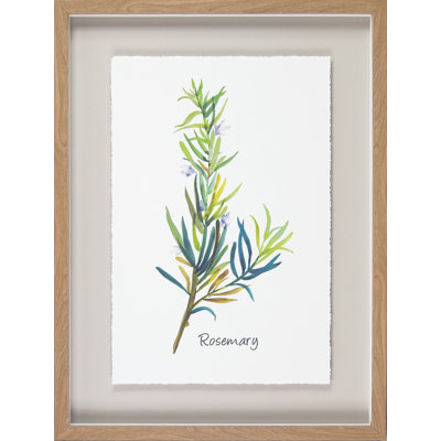 Herb Study III - Print
