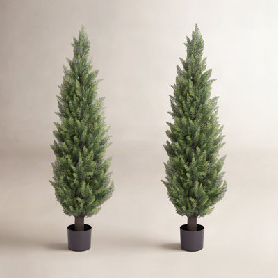 72" Cedar Topiary in Pot