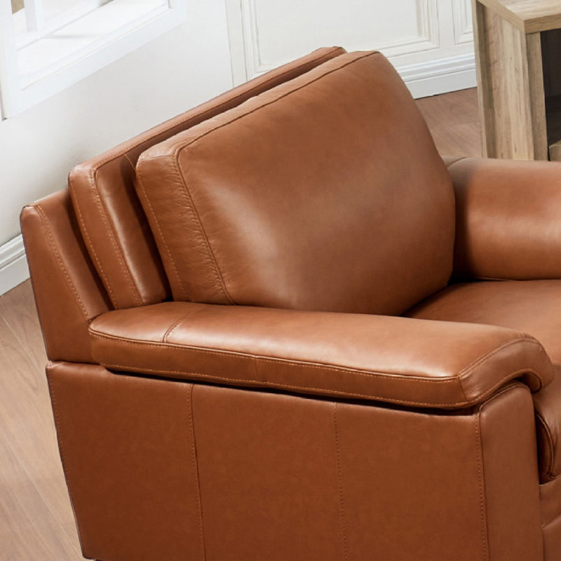 Fauteuil en cuir Magnum Revêtement en cuir Revêtement en cuir