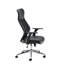 Acire Executive Chair with Headrest