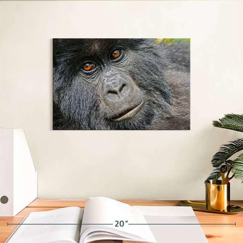 Gorilla Face, 8" H x 12" W