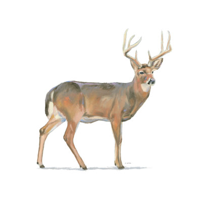 «Northern Wild V Crop» par James Wiens - impression sur toile tendue