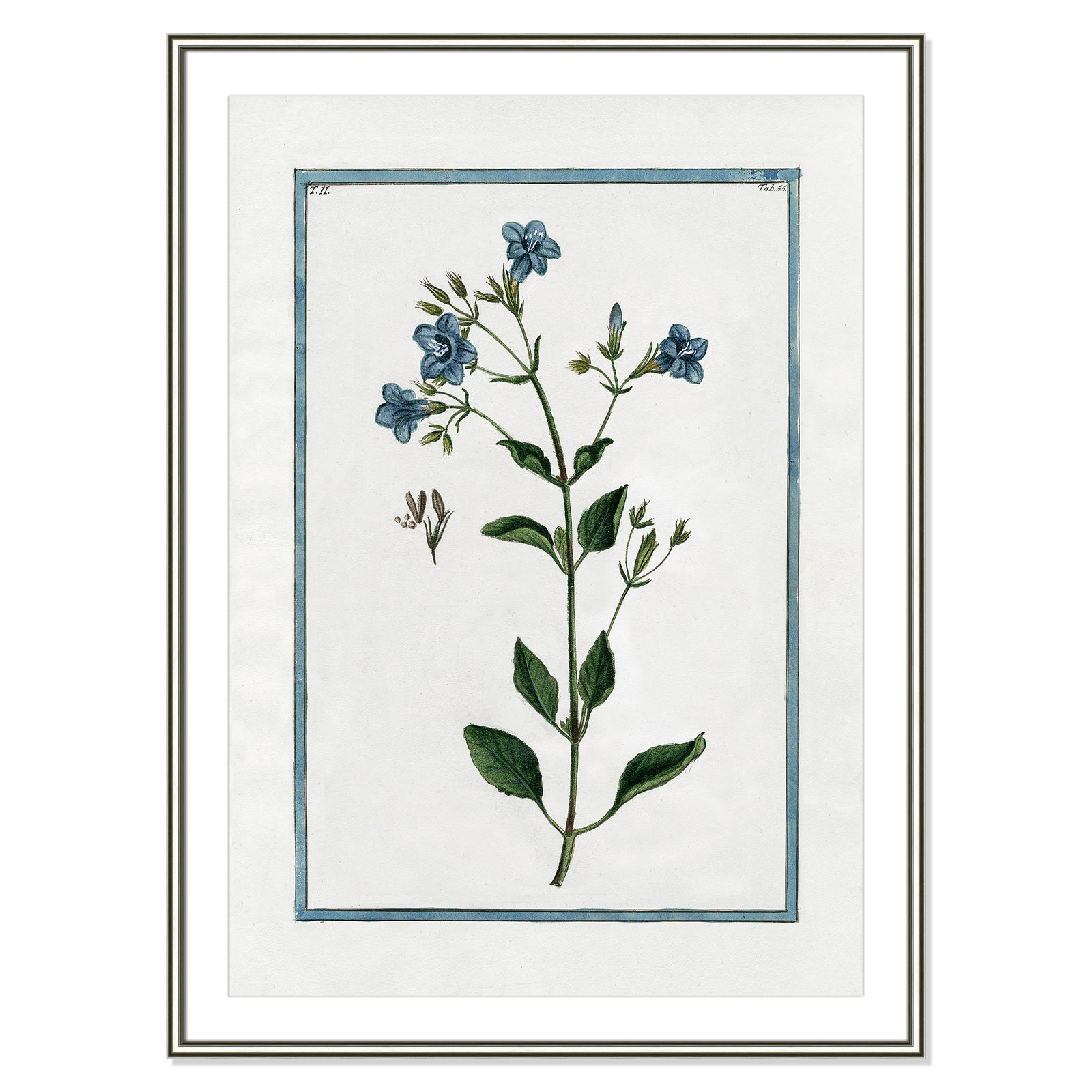 Colombe "Shabby Elegance Botanical II" Print, 30.75" W x 42.75" H, Silver Framed