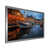 Silver Picture Framed