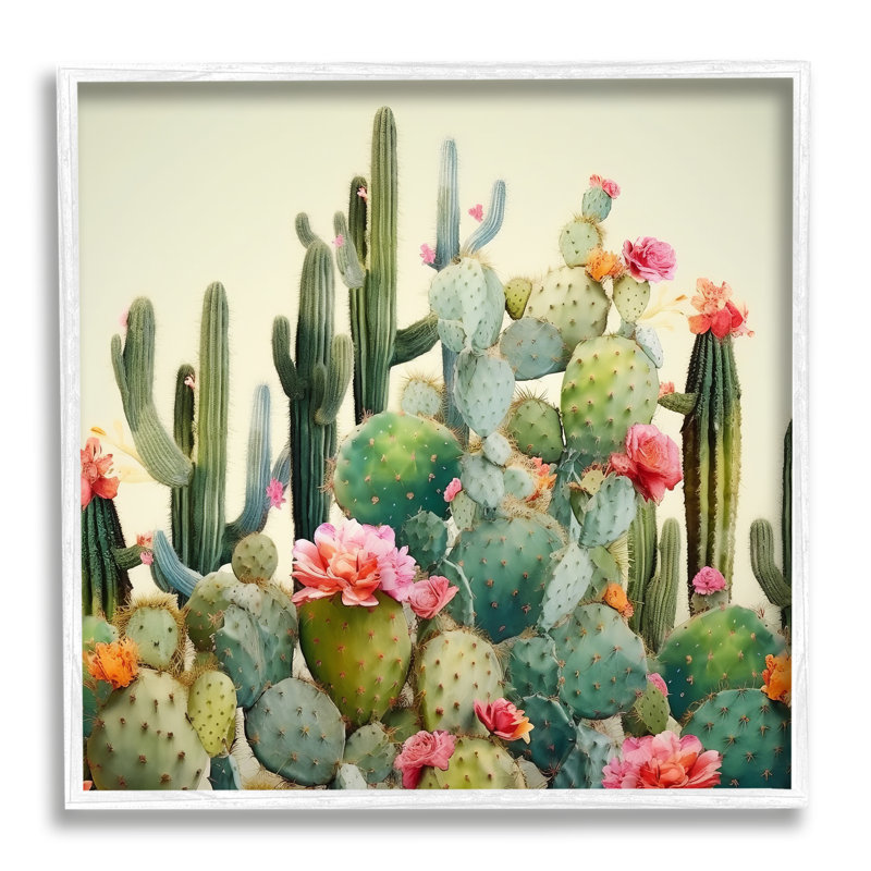 Bb-256-Prickly Cactus Blooms, reproduction encadrée sur bois, Giclée encadrée blanc bord de mer, H 24 po x l 24 po x P 1,5 po