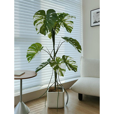 Minimalist Variegated Monstera Artificial Plant, Living Room Decor Ornament
