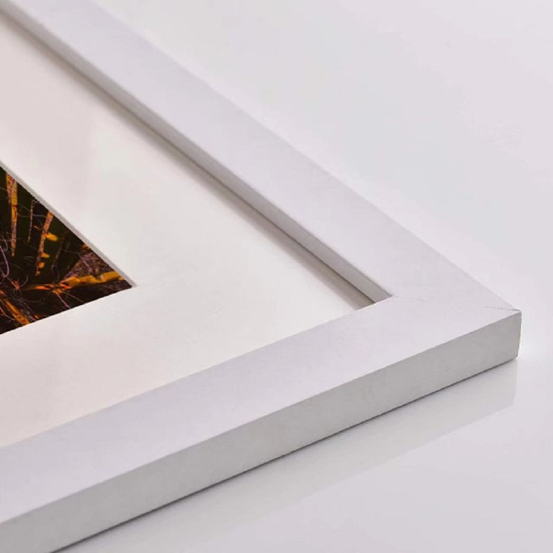 Lovel Matte Picture Frame with Mat, White