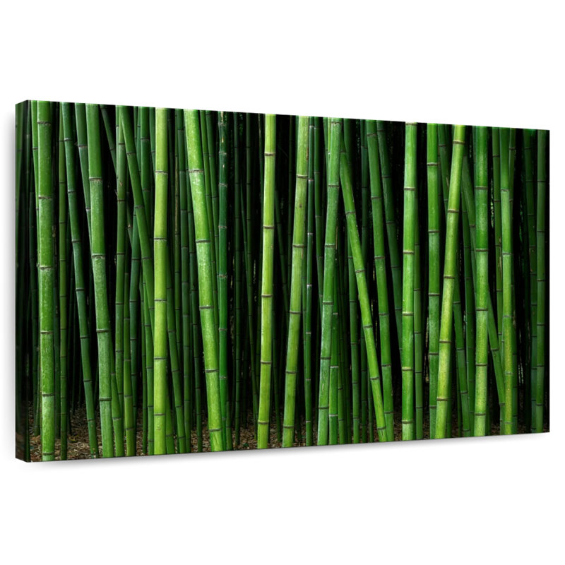 Alvord Green Bamboo Forest, 26" H x 39" W