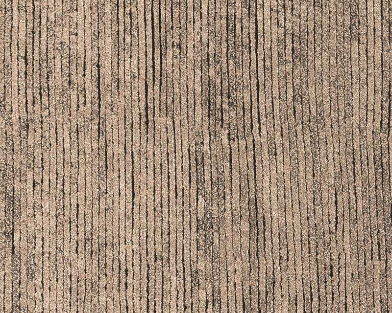 Hidden Path Striped Hand-Knotted Beige/Black/Neutral Area Rug, Rectangle 2' x 3', Beige