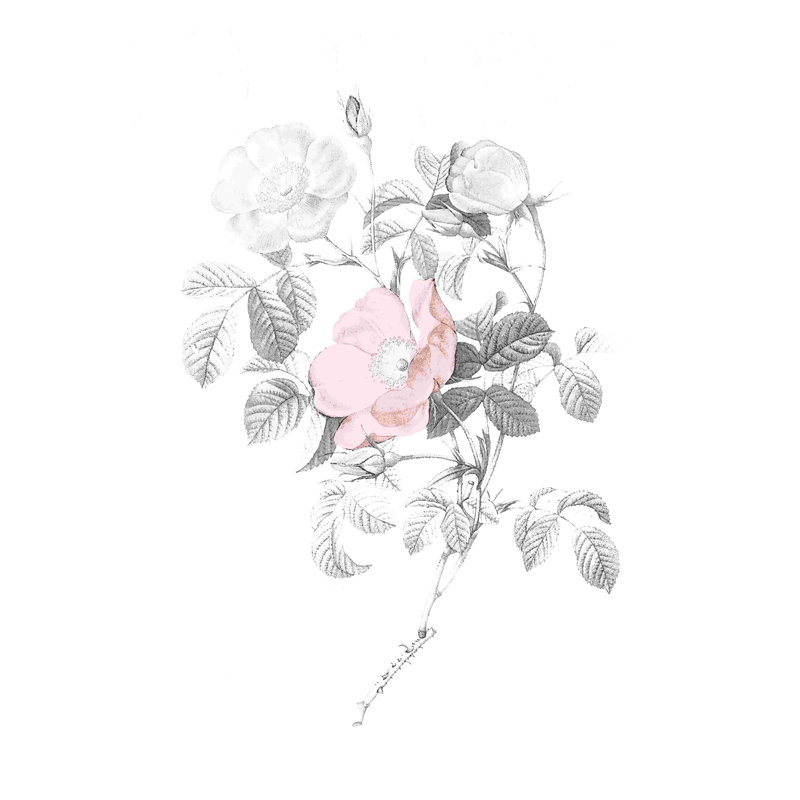 Blanc, rose et gris botanique, H 48 po x l 32 po