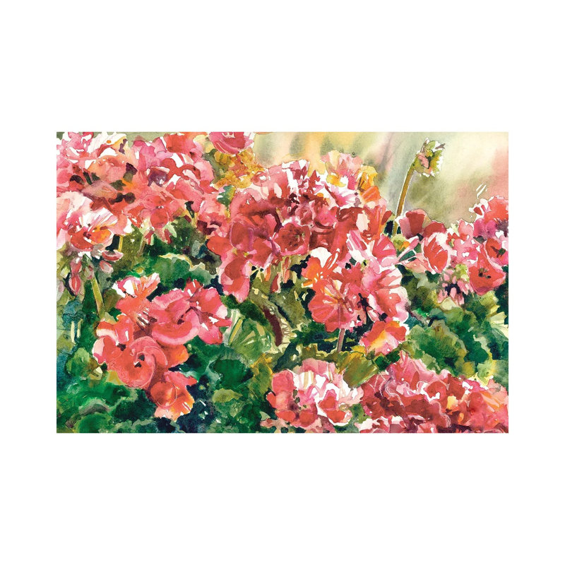 Gentle Geraniums, No Frame, Canvas, 8'' H x 12'' W