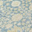 Tapis intérieur / extérieur lavable à la machine Chayden ACN1086 Sky-100138148
