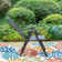 Alyah Folding Reclining Patio Dining Armchair With Adjustable Backrest