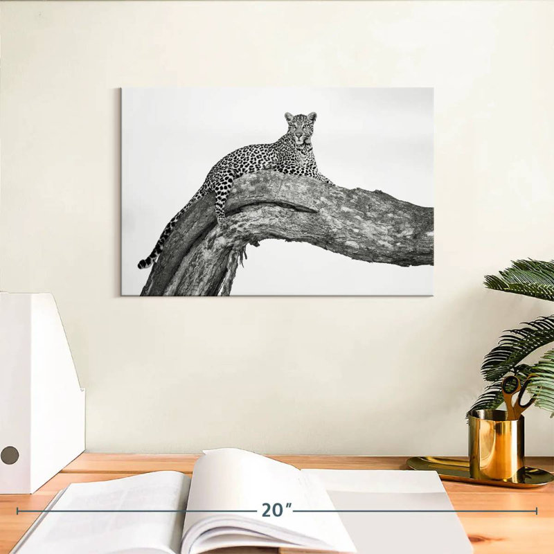 Brampt Resting African Leopard, 8" H x 12" W