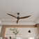 Demica 65'' Ceiling Fan