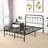Hidalgo Metal Platform Bed-118303750-118303756