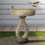 Bains d'oiseaux | Baignoire piédestal moderne 21,8 po résistante aux intempéries pour patio de jardin | Ciment béton | Piédestal à un niveau Birdbath