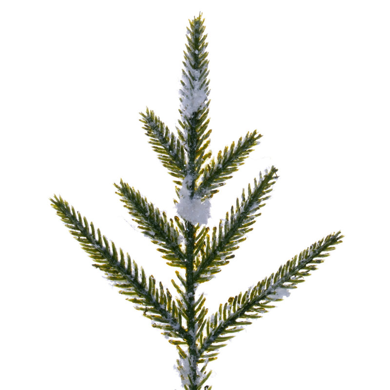  Arbre en pot 3 pi Norfolk, 3 pi x 7,1 po