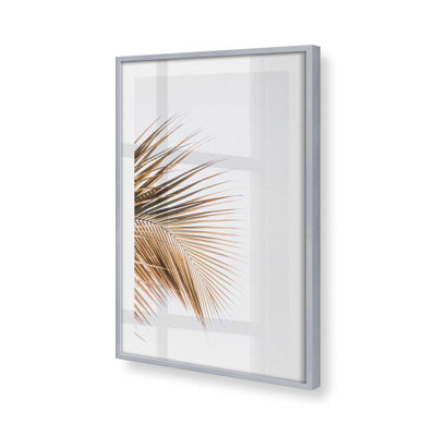 Palm Palm Harmony, dans un cadre,